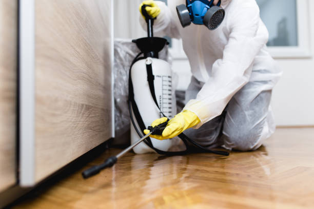 Best Best Pest Control Companies  in Carbondale, CO