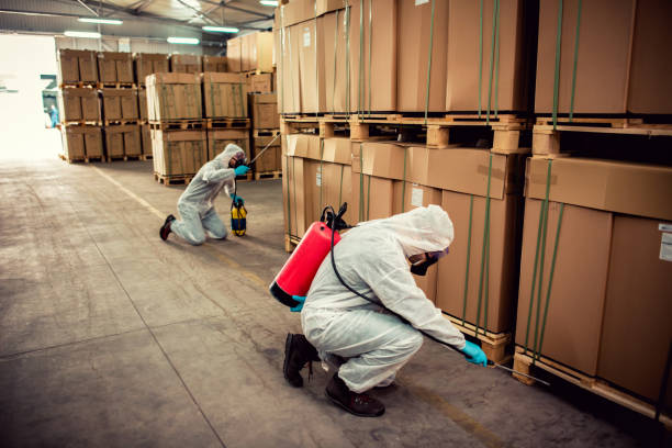 Best Mosquito Control Services  in Carbondale, CO