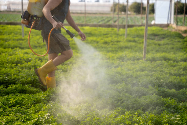 Best Pest Removal Services  in Carbondale, CO