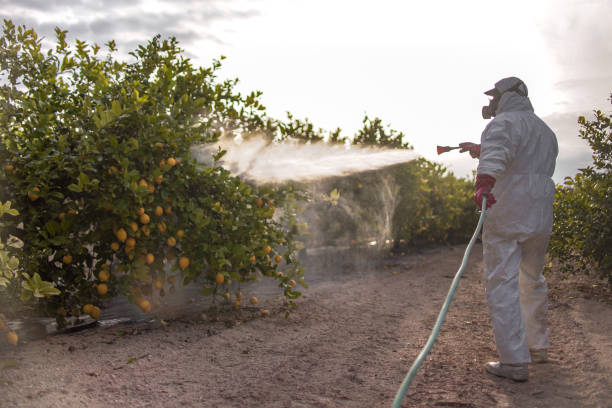 Best Local Pest Control Services  in Carbondale, CO